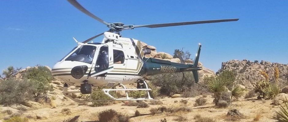 Joshua Tree Extraction